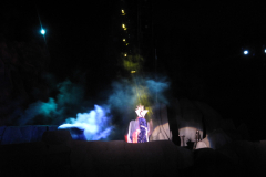 Fantasmic 7