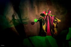 Fantasmic 13