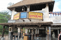 Festival of The Lion King 1