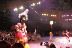 Festival of The Lion King 3
