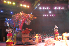 Festival of The Lion King 5