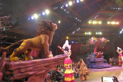 Festival of The Lion King 7