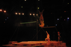 Festival of The Lion King 9