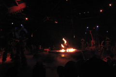 Festival of The Lion King 10