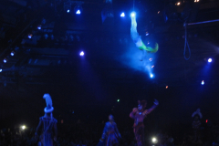 Festival of The Lion King 12