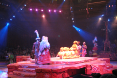 Festival of The Lion King 14