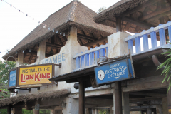 Festival of The Lion King 18